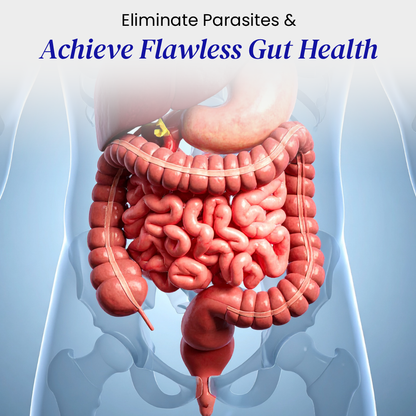 Ivermectin 12MG, 99% Purity